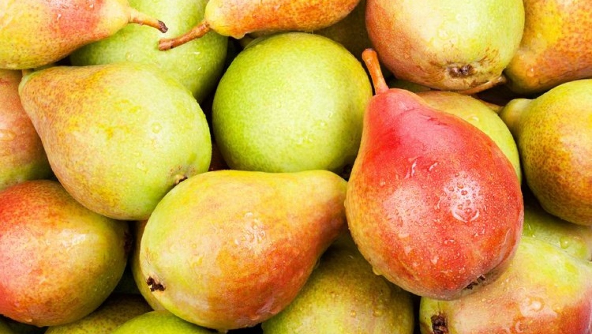 В Оренбурге утилизировано более 270 килограммов  груш