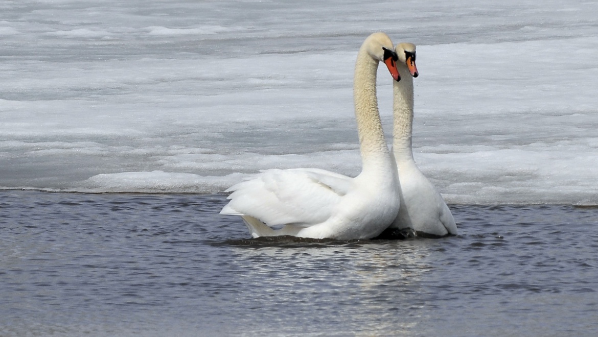 Выставка Сергея Жданова на родине Аксакова
