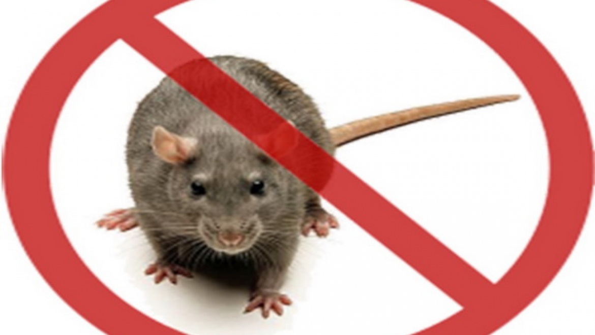 Ситуация по заболеваемости геморрагической лихорадкой остается неблагополучной