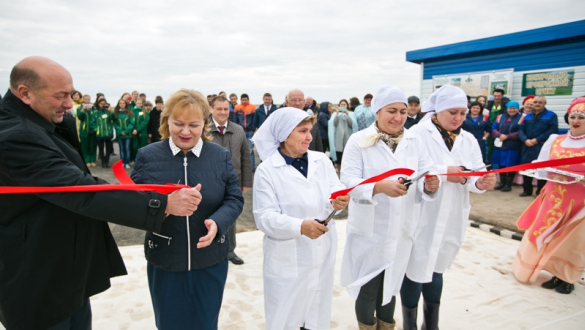 В Октябрьском районе открылся новый молочный комплекс