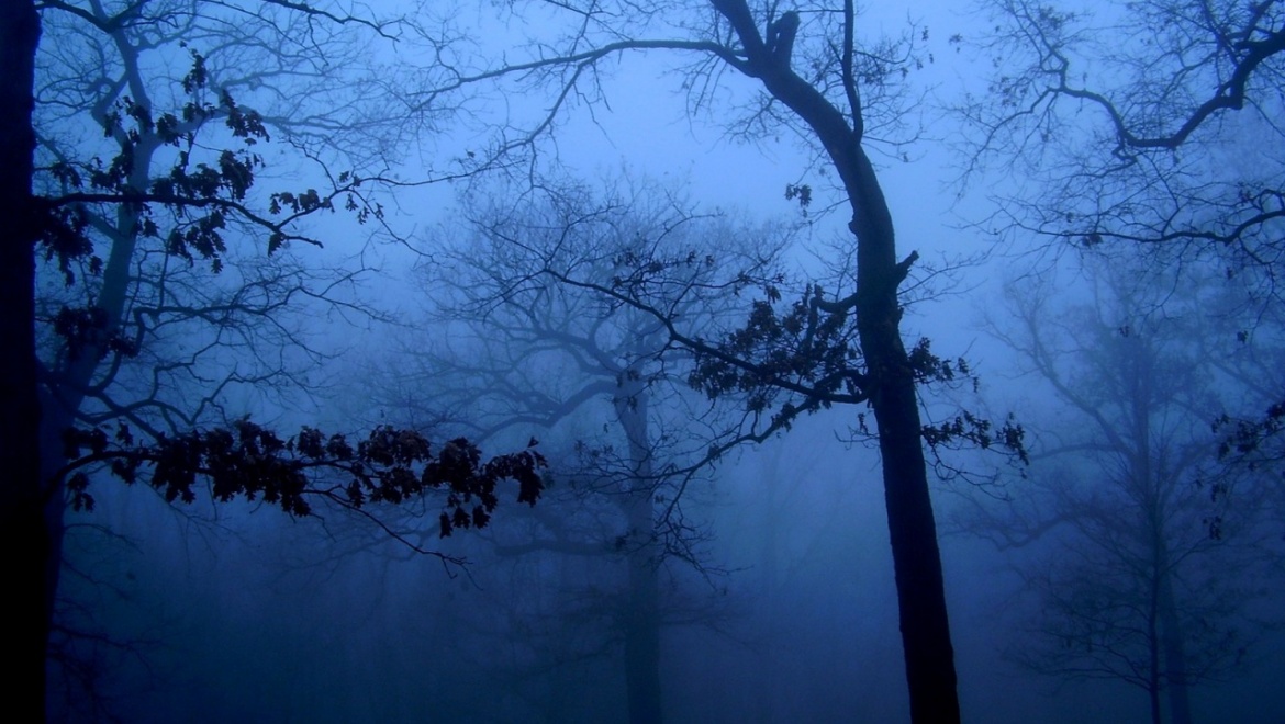 На область опускается туман