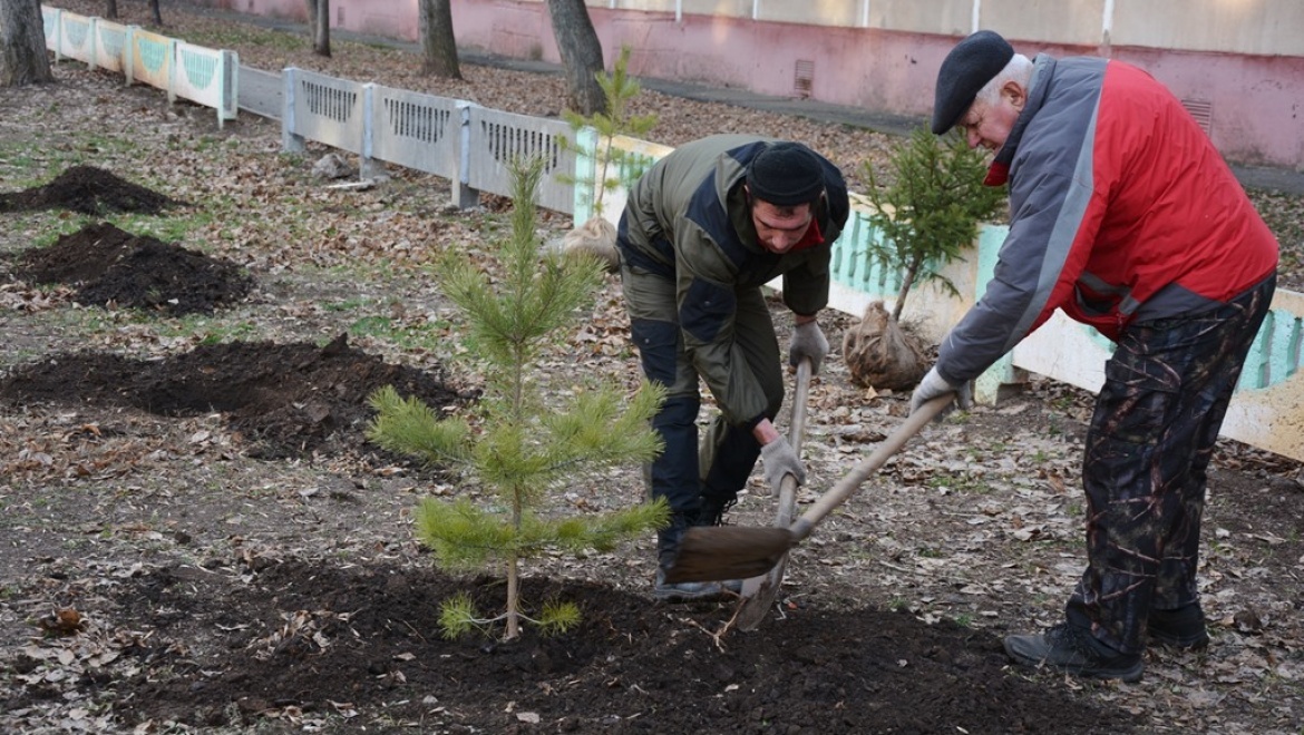 Береги деревья – откажись от бумажных квитанций