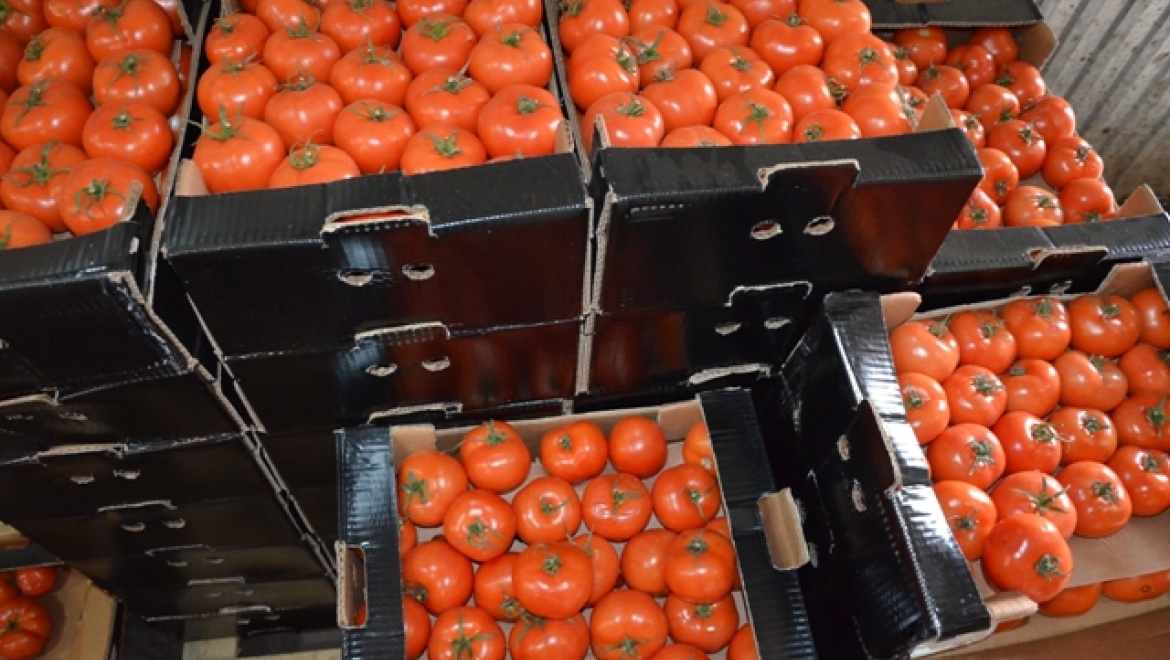 В Оренбурге выявлена очередная партия «санкционных» овощей