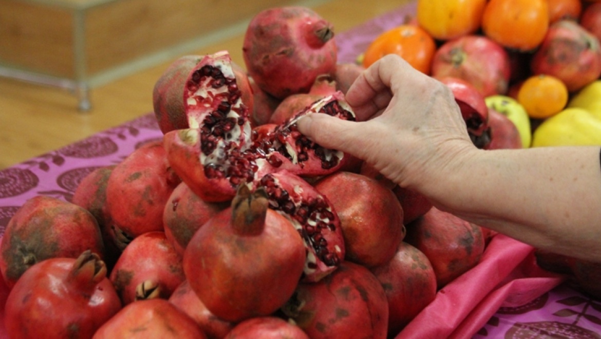 В Оренбурге состоялся праздник азербайджанской культуры