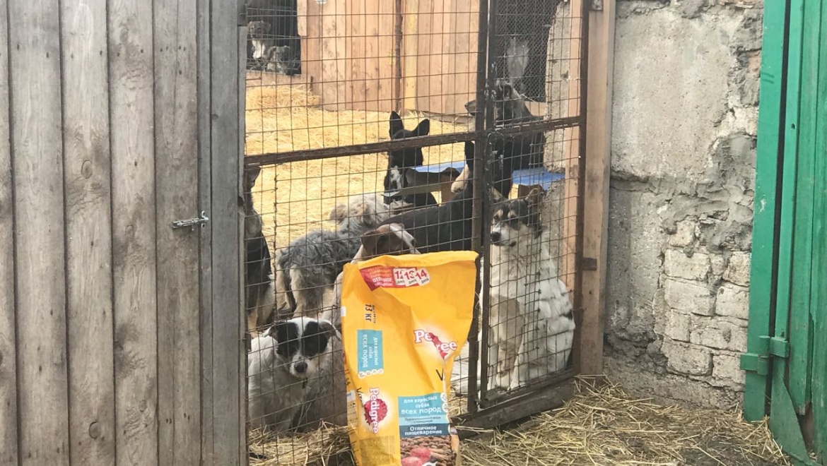 Кто из волонтерских организаций возьмет на себя ответственность за животных?