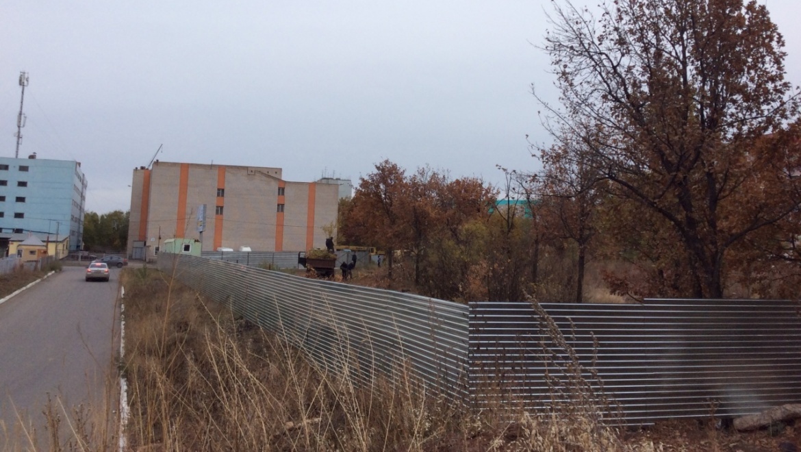 В Оренбурге незаконно вырубили десятки деревьев