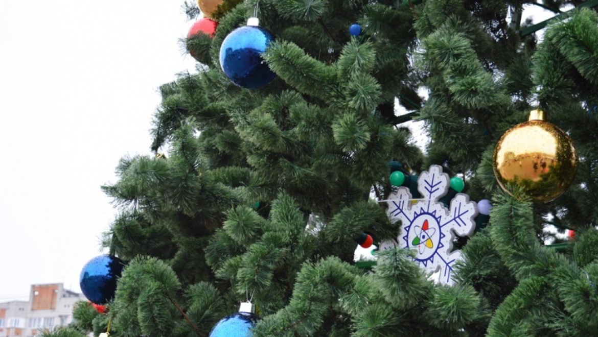 28 декабря оренбуржцев приглашают на открытие новогодних елок в микрорайонах