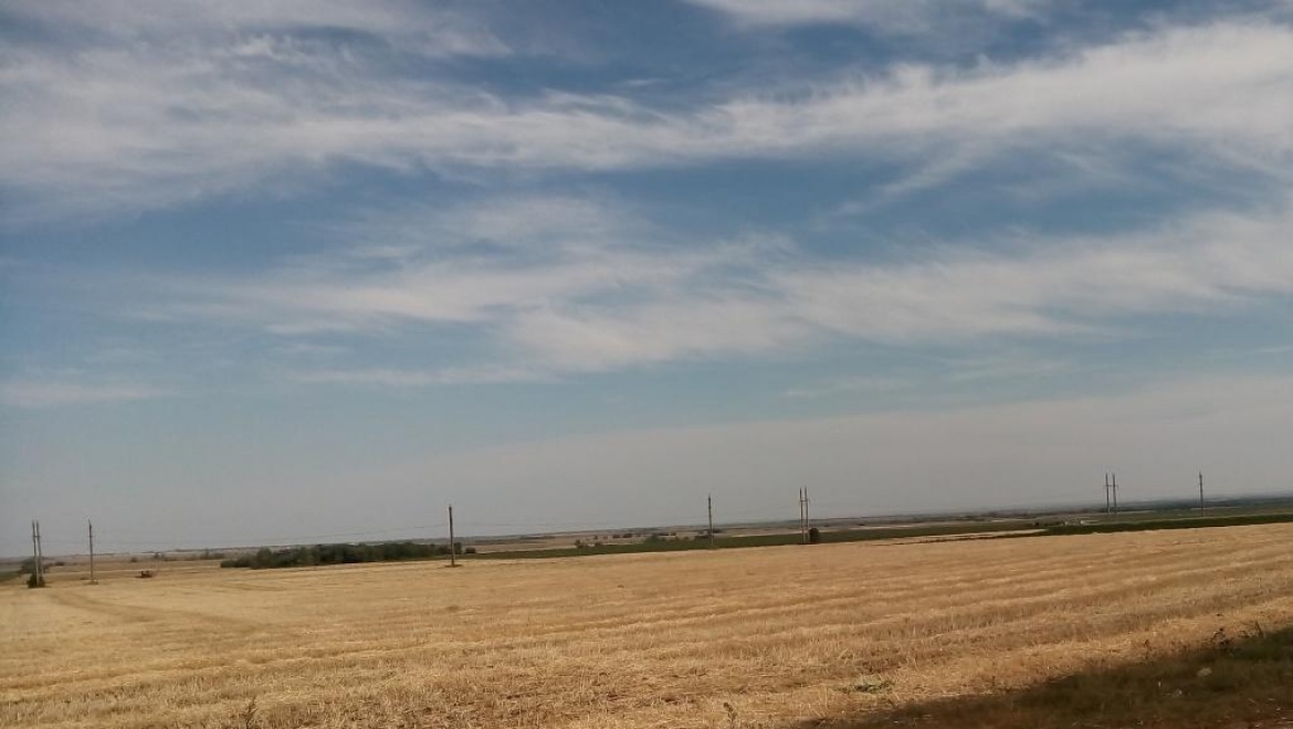 В Оренбуржье растет производство зерна