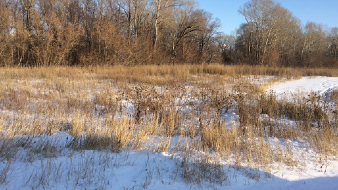 Наркополицейские изъяли крупную партию марихуаны