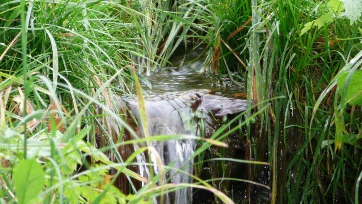 В 13-и посёлках  Оренбургского района питьевая вода не соответствует нормам