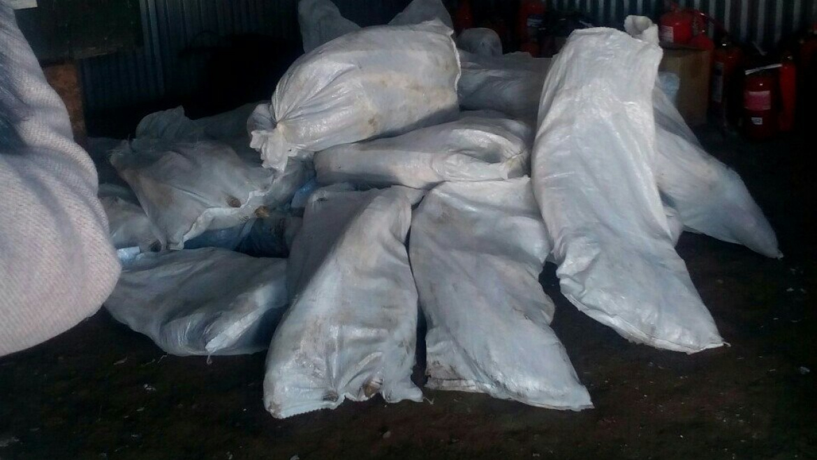 Попытка незаконного ввоза в Россию осетра