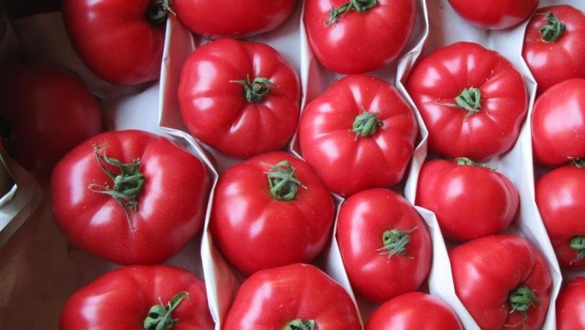 Задержана продукция без фитосанитарного сертификата