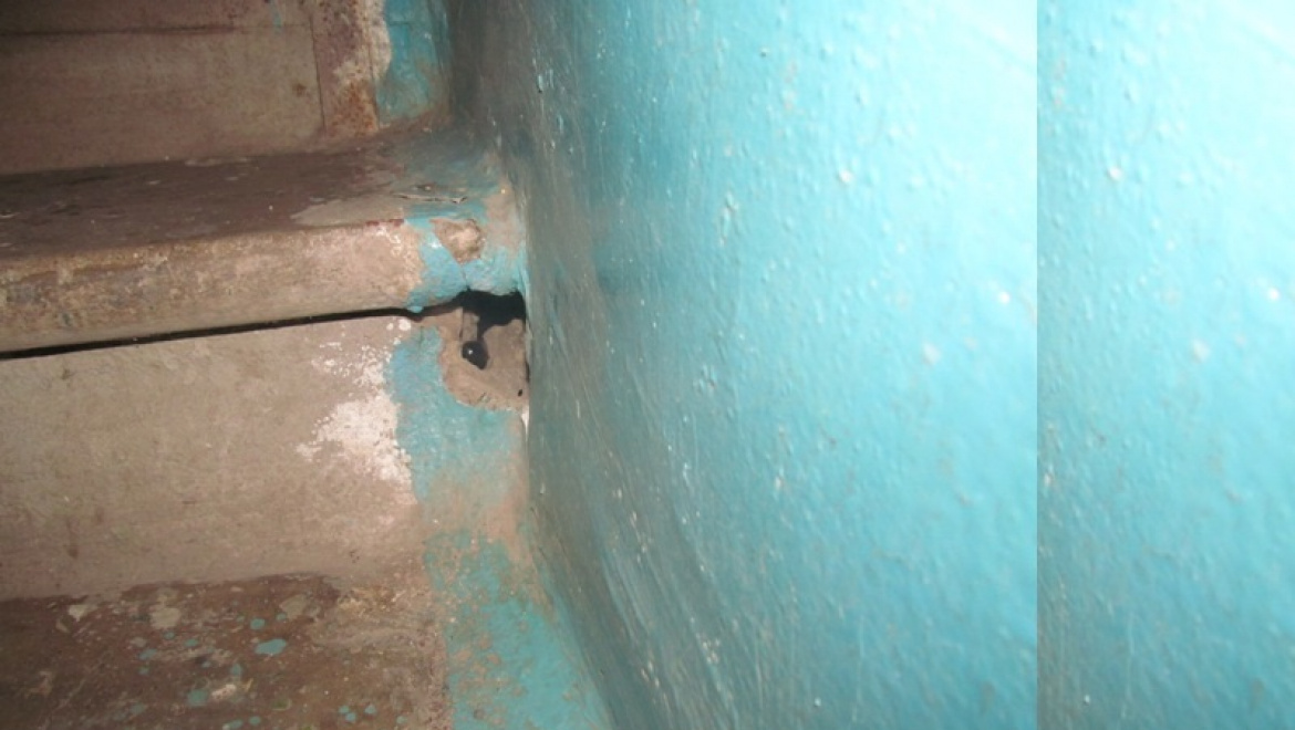 Новотройчанин задержан за сбыт наркотических средств