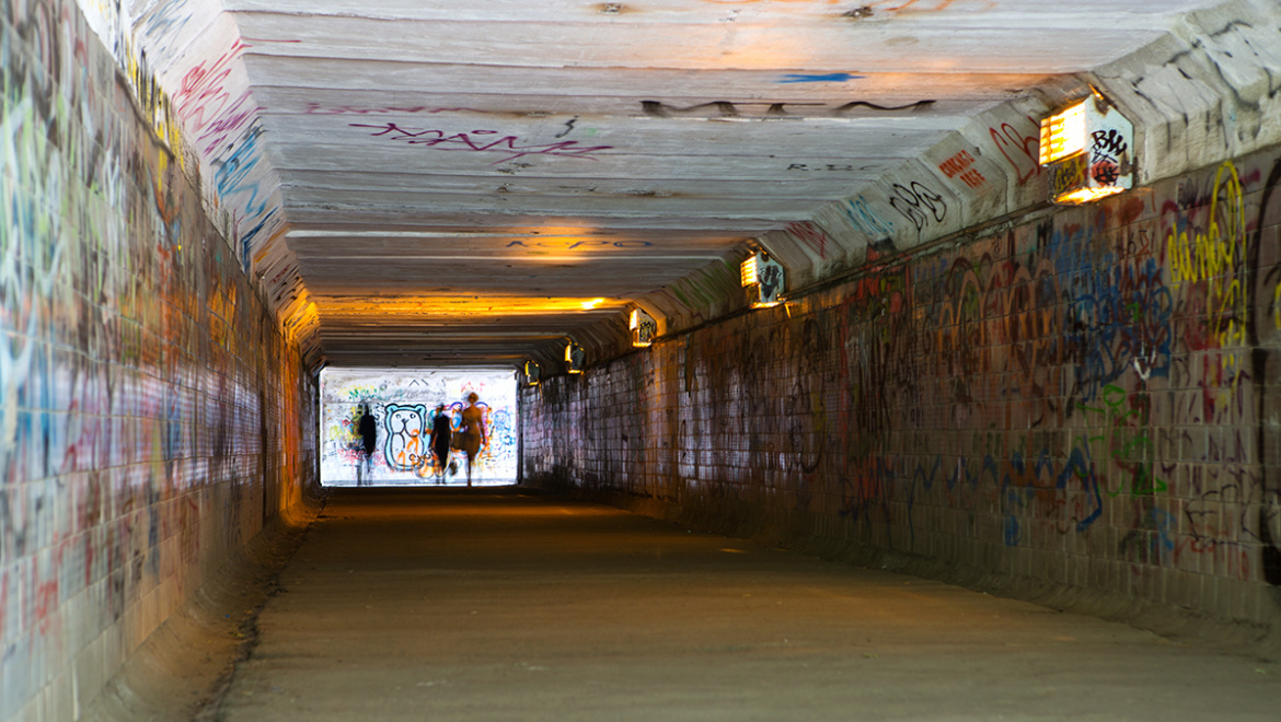 Арест на 8 суток за фашистскую символику