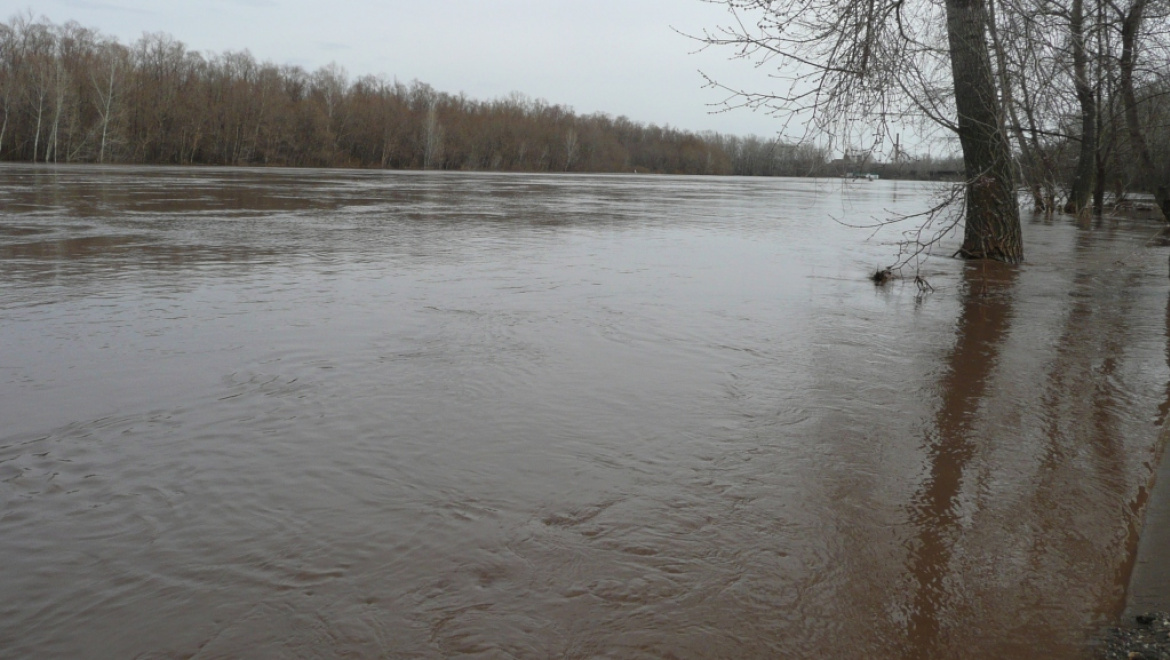 Из Сакмары извлечено тело неизвестного мужчины