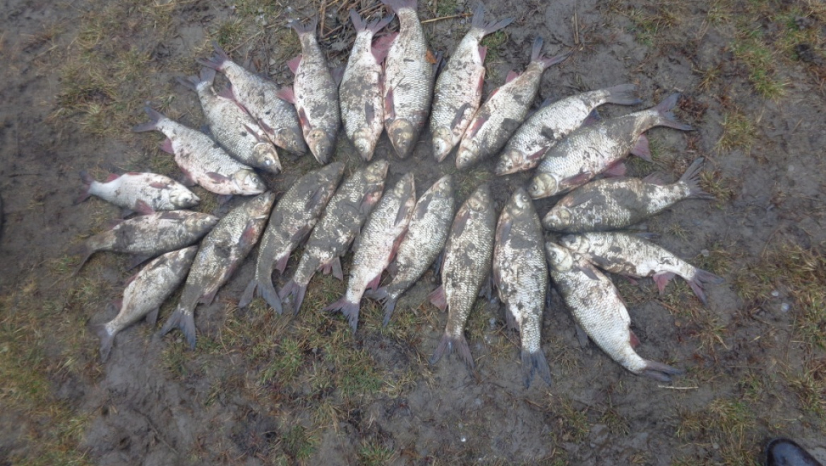 На Кумакском водохранилище задержаны браконьеры с сетями
