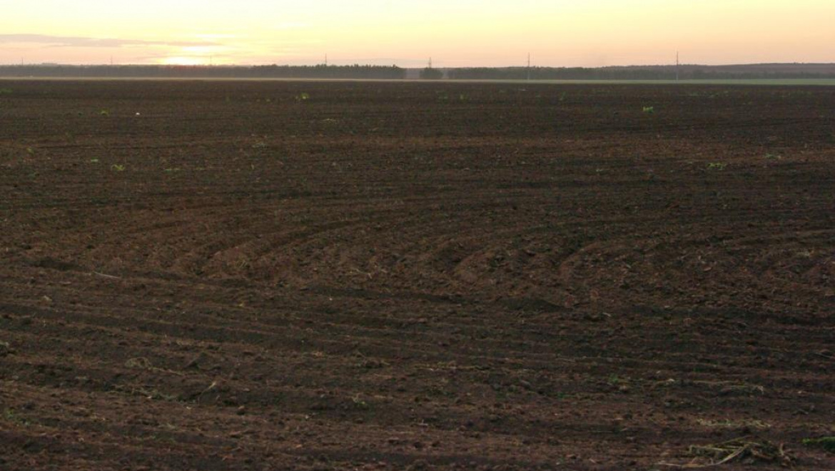 Весенний сев зерновых в Оренбуржье частично завершен