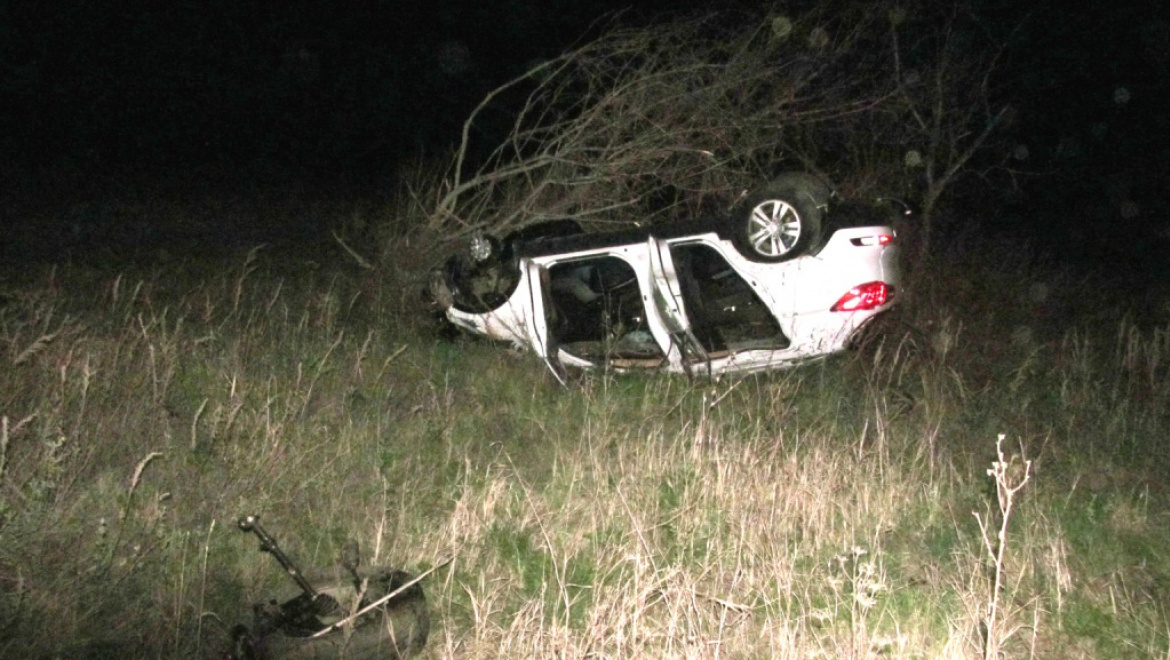 Довеселились до суда