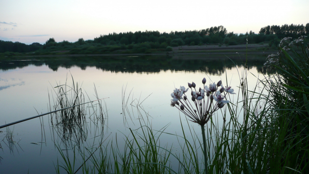 Выходные начинаются с пятницы