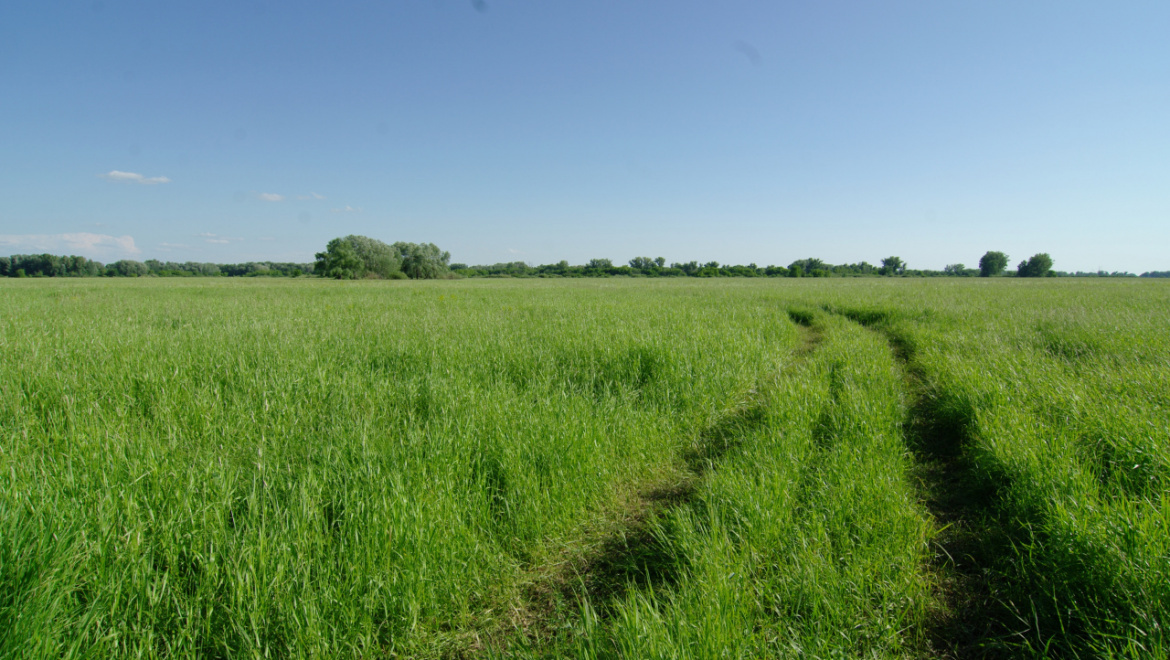 Отголоски землетрясения докатились и до Оренбуржья