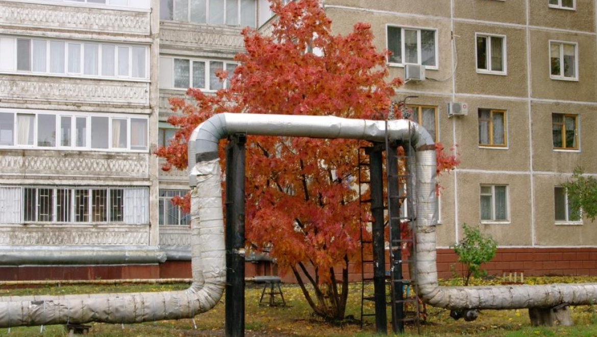 В Оренбургской области появились новые лицензиаты