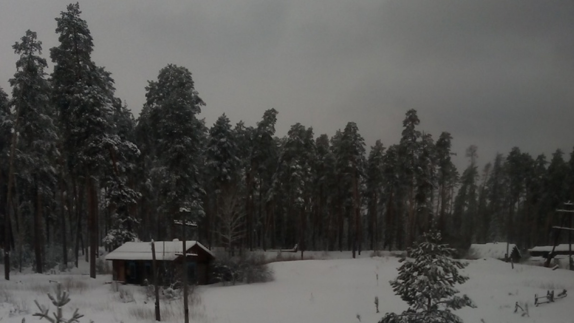 Заблудившиеся в Бузулукском бору найдены