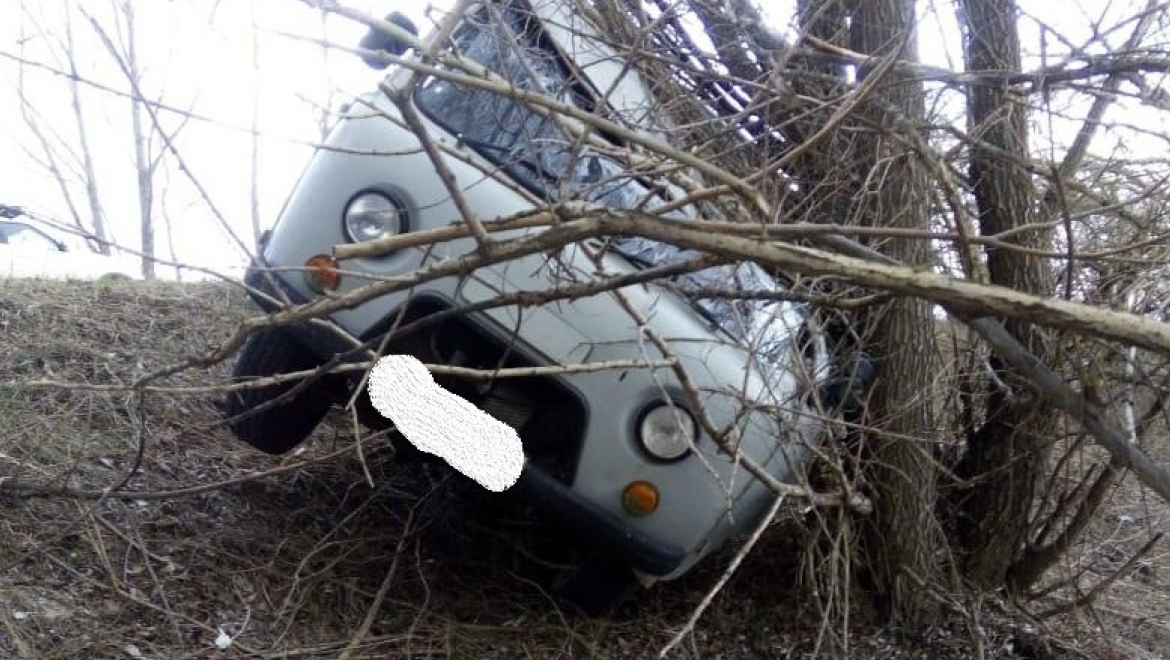 Новости оренбургской области на сегодня последние происшествия. Буханка врезалась в дерево.