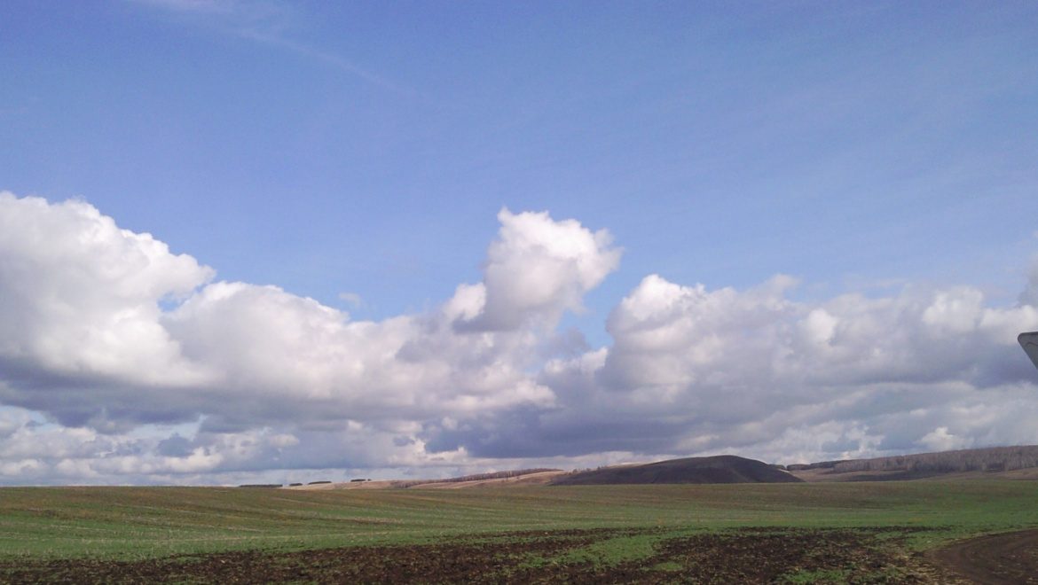 Кадастровая палата по Оренбургской области проконсультирует кадастровых инженеров