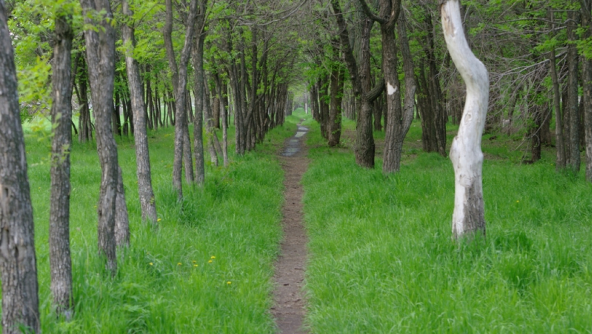 У Мемориала памяти жертв политических репрессий Оренбуржья состоится архирейская служба