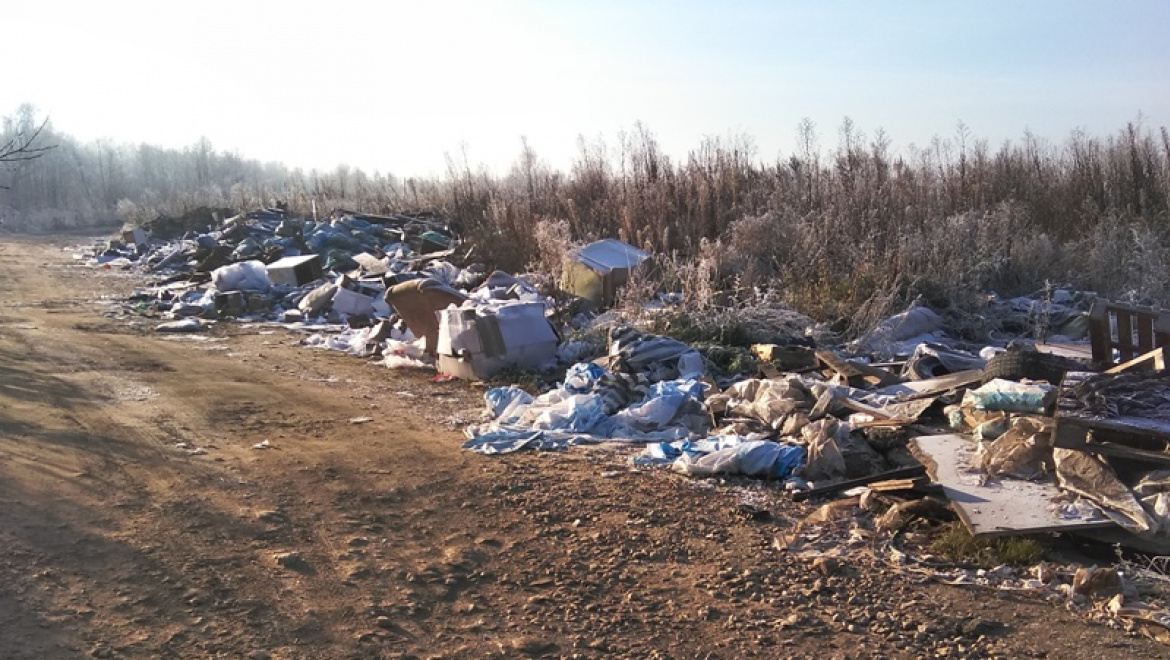 Жители села Нежинка требуют закрыть несанкционированную свалку 