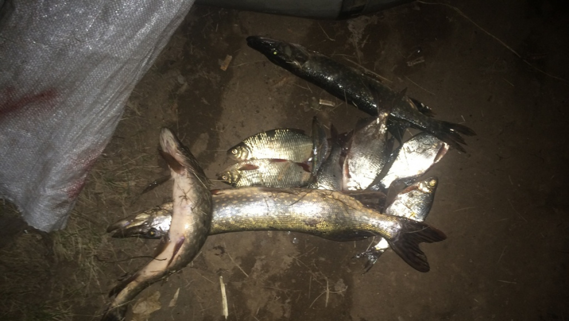 На Ириклинском водохранилище задержан учащийся Орска