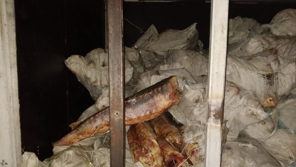 На границе пресечена попытка провоза в Россию контрабанды