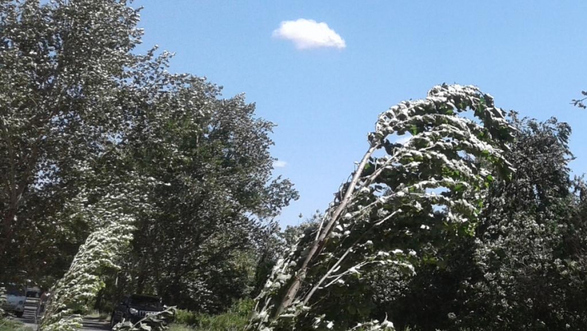 Последствия штормового ветра в Оренбуржье 