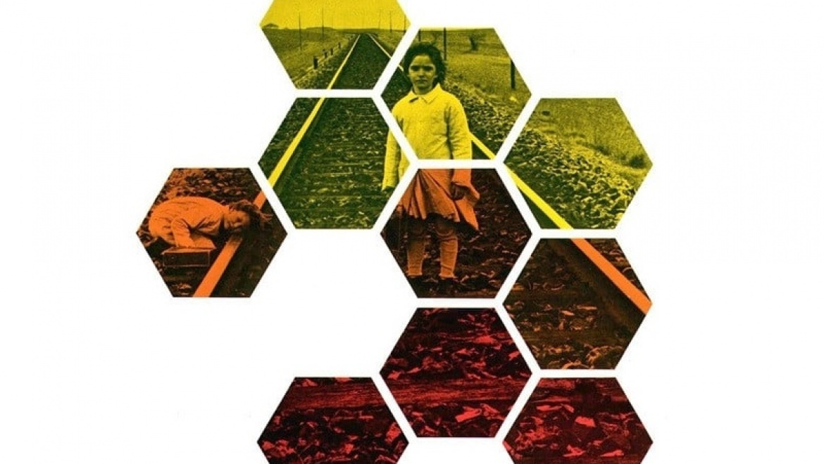 Оренбуржцы приглашаются на просмотр фильм Виктора Эрисе «Дух улья»