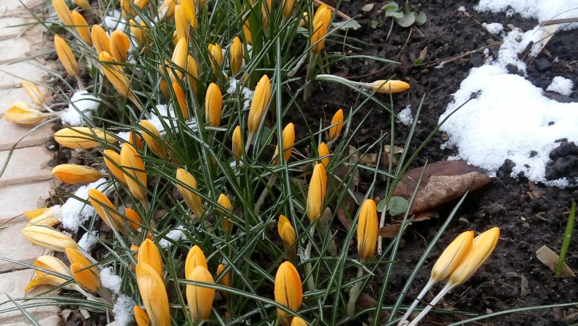 С Международным женским днём, дорогие оренбурженки!