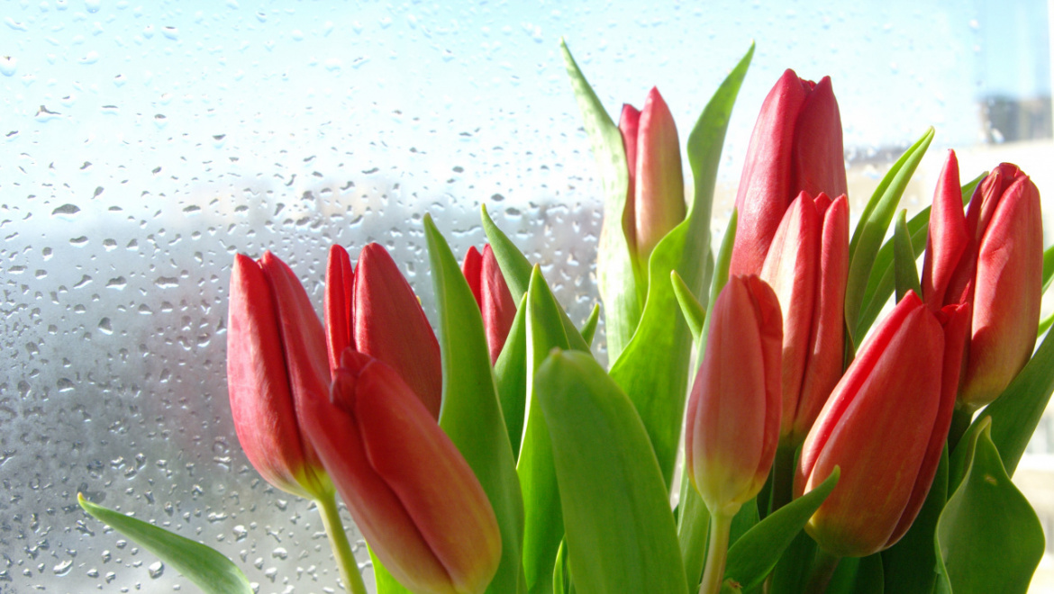 8 Марта – Международный женский день!