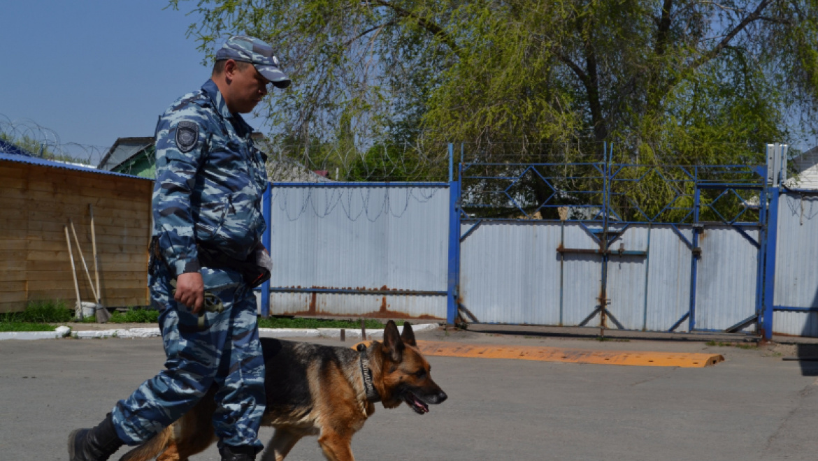 Юта нашла грабителя