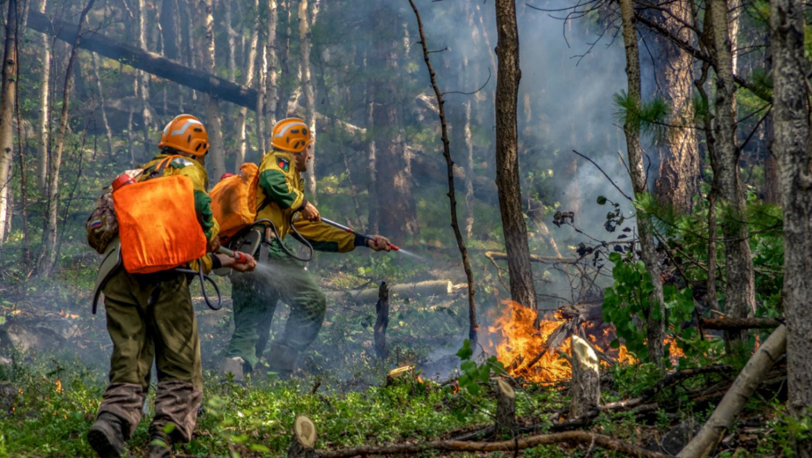 Сегодня тушат 55 лесных пожаров в 12 регионах России