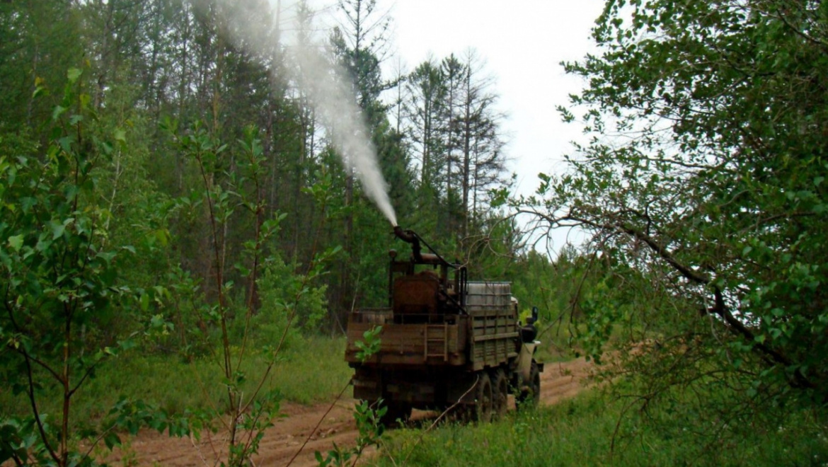 Проводится обработка лесов от вредителей