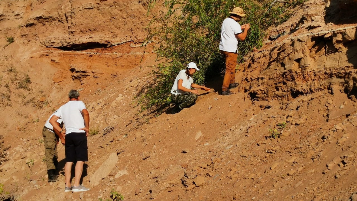 В Оренбуржье палеонтологи обнаружили остатки триасовой амфибии