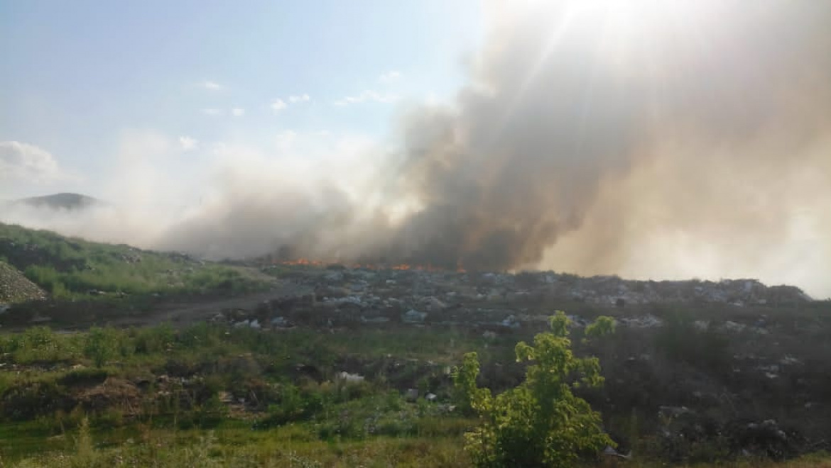 За неделю в 27 регионах России ликвидировано 99 лесных пожаров