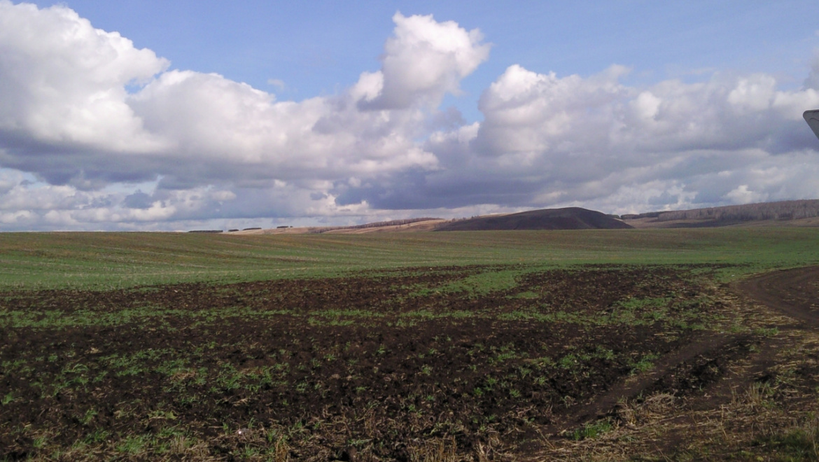 Земледельцы Беляевского района планируют увеличить площадь озимых хлебов