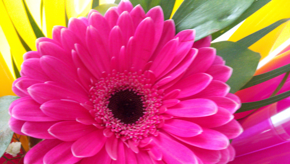 Поздравление губернатора Оренбургской области Юрия Берга с 8 марта