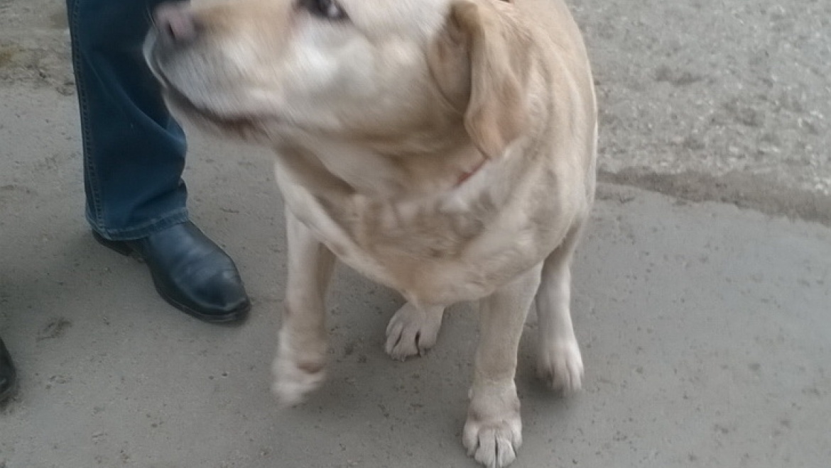 Антинаркотические мероприятия на техногенно опасных предприятиях региона