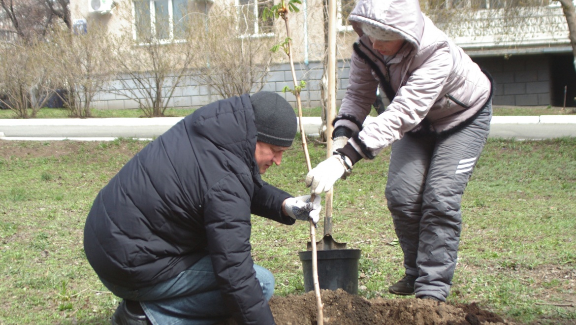 Завершается месячник благоустройства и озеленения
