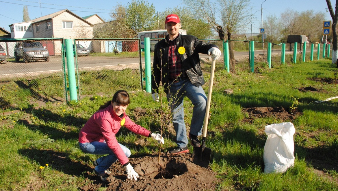 Энергетики высадили березы