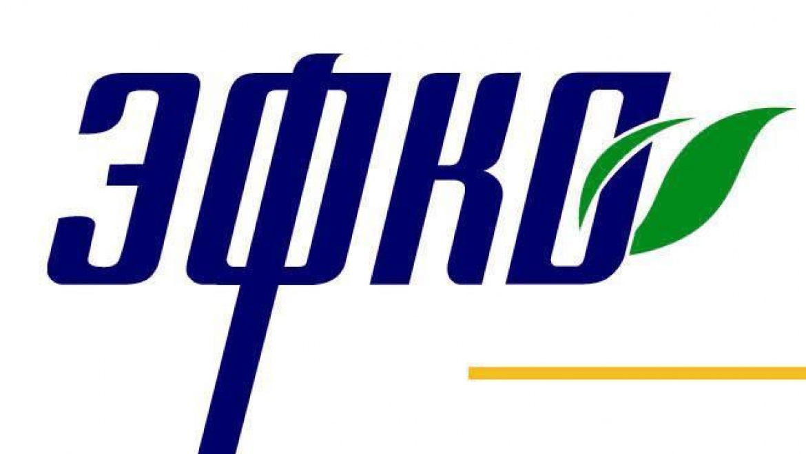 День работодателя группы компаний «ЭФКО»