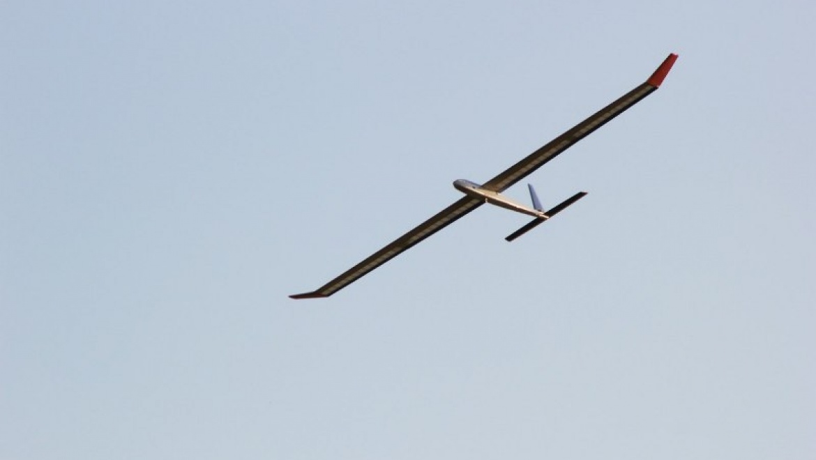 Кто выше и быстрее?