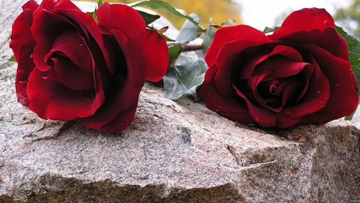 Правительство области выражает соболезнования