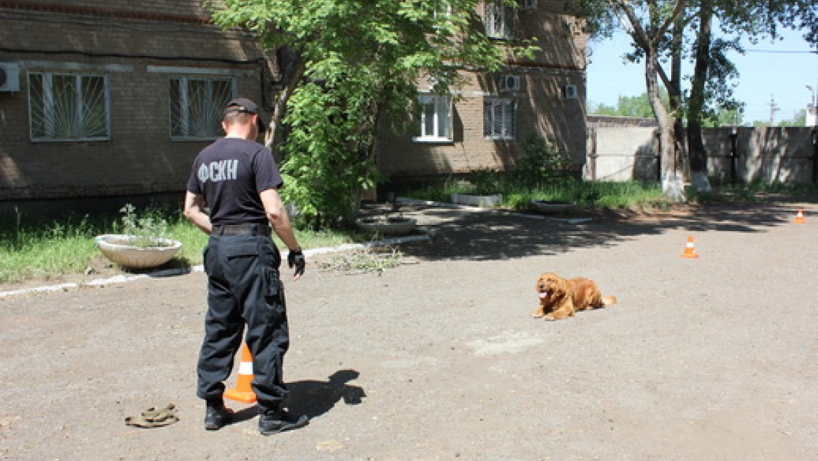 О профилактике наркомании, о пропаганде здорового образа жизни